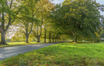 Картинка природа дороги шоссе