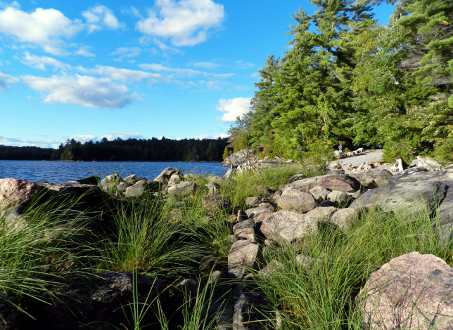 Обои картинки фото природа, реки, озера, камни, река, деревья, лето