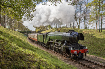 Картинка техника паровозы состав локомотив