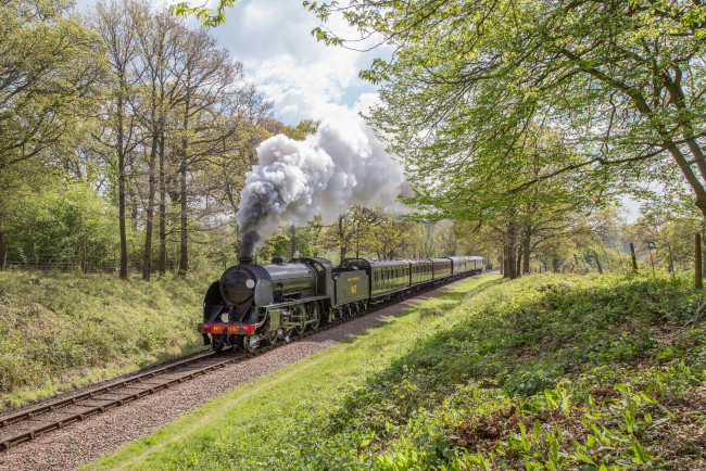 Обои картинки фото техника, паровозы, состав, локомотив