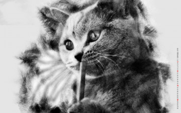 Картинка календари компьютерный+дизайн кошка животное