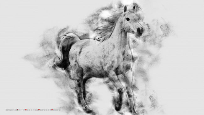 Обои картинки фото календари, компьютерный дизайн, лошадь, конь, животное
