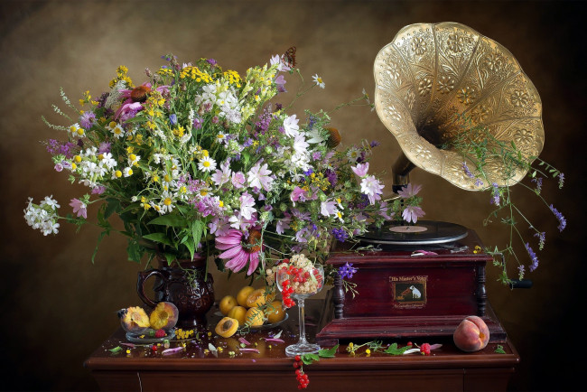 Обои картинки фото еда, натюрморт, букет, абрикосы, смородина, граммофон