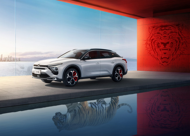 Обои картинки фото автомобили, citroen, ds