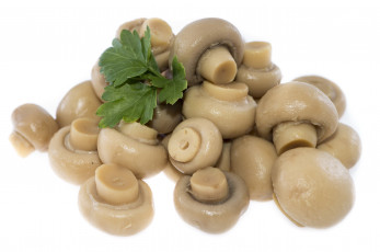 Картинка еда грибы +грибные+блюда петрушка шампиньоны