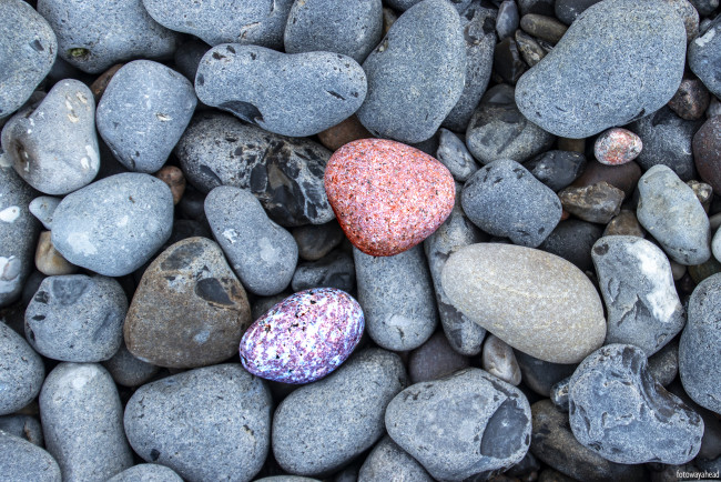 Обои картинки фото разное, ракушки,  кораллы,  декоративные и spa-камни, камни