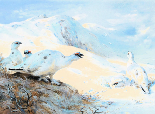 Обои картинки фото рисованное, archibald thorburn, птицы, стая, горы, снег, зима