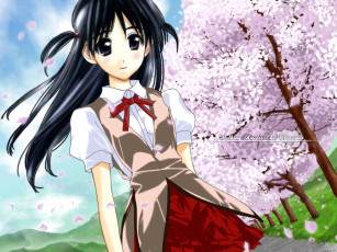 Картинка аниме school rumble