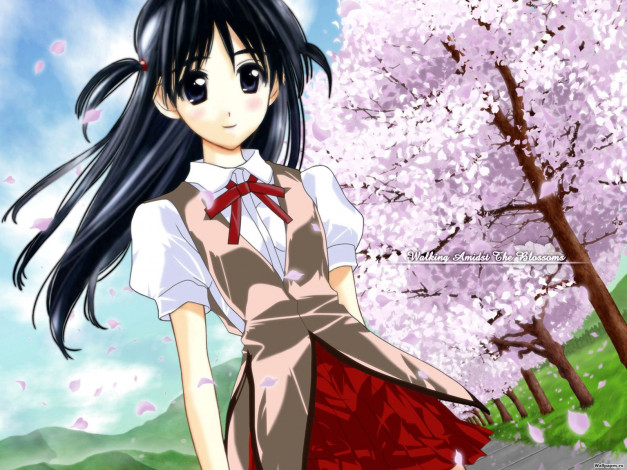 Обои картинки фото аниме, school, rumble