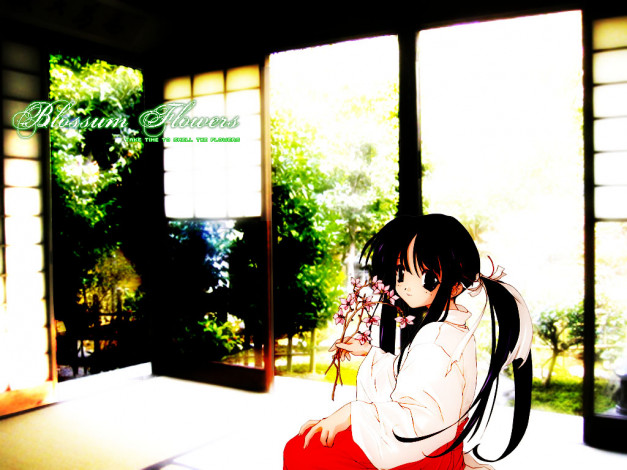 Обои картинки фото аниме, *unknown, другое