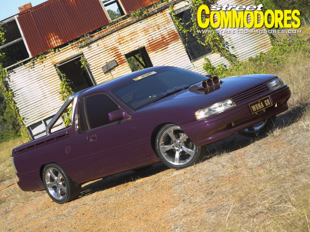 Обои картинки фото автомобили, holden