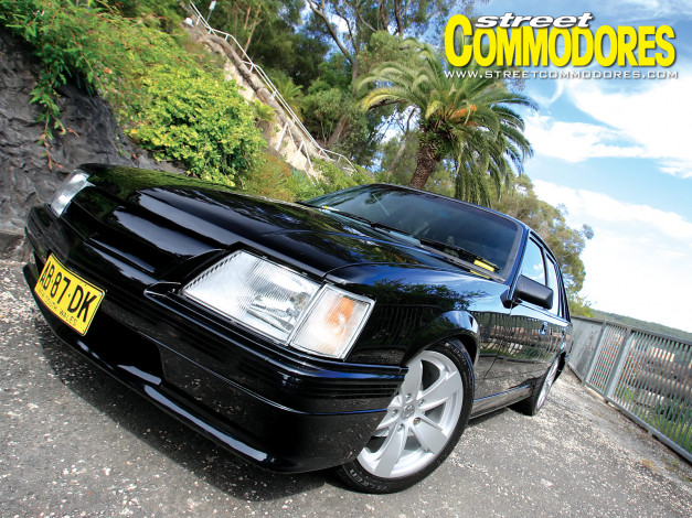 Обои картинки фото автомобили, holden