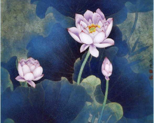 Обои картинки фото рисованные, цветы