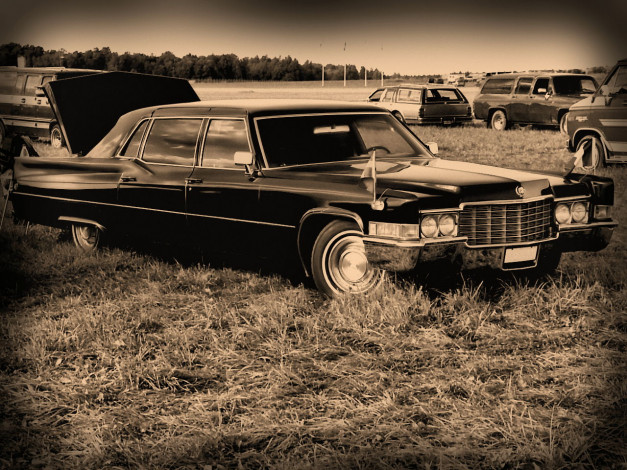 Обои картинки фото автомобили, выставки, уличные, фото