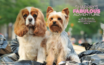 Картинка sharpay`s fabulous adventure кино фильмы