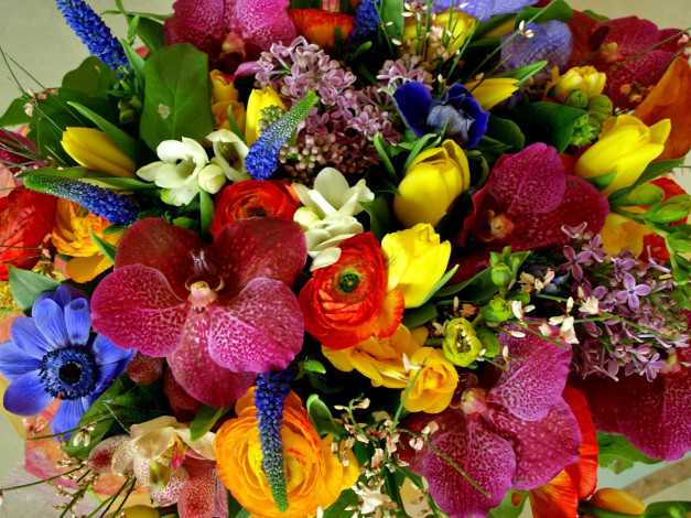 Обои картинки фото цветы, букеты, композиции