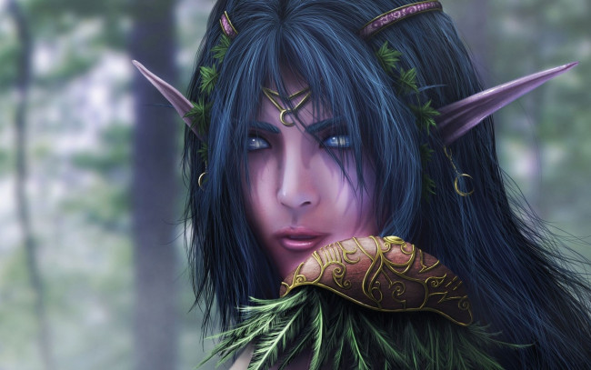 Обои картинки фото фэнтези, эльфы