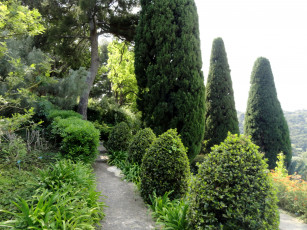 Картинка природа парк кусты дорожка кипарисы