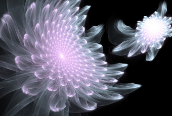 Картинка 3д графика flowers цветы фон цвета узор