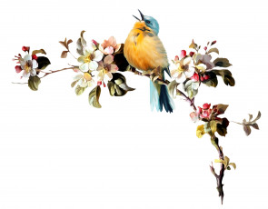 Картинка рисованные животные птица ветка