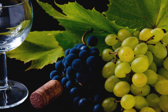 Картинка еда виноград ягоды