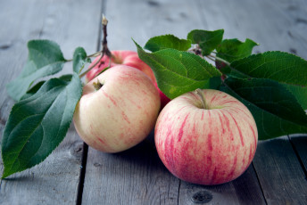 Картинка еда Яблоки плоды