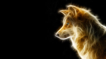 Картинка 3д+графика animals+ животные морда графика собака