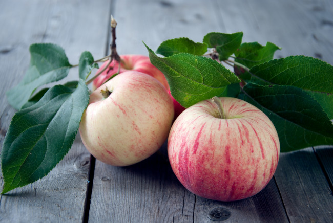 Обои картинки фото еда, Яблоки, плоды
