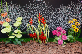 Картинка цветы разные+вместе разные клумба