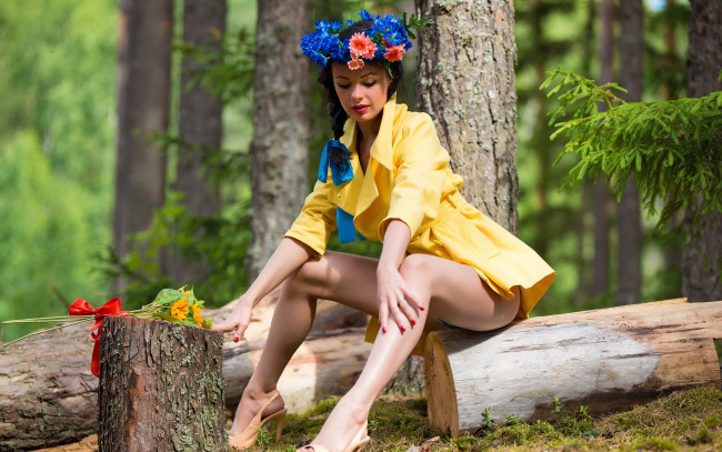 Обои картинки фото девушки, -unsort , брюнетки,  шатенки, ромашки, цветы, брюнетка, модель, katie, букет, окно, чулки, взгляд