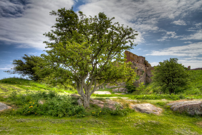 Обои картинки фото города, - пейзажи, стены, дерево, поле