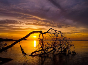 Картинка природа восходы закаты рассвет