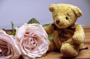 Картинка разное игрушки цветы мишка