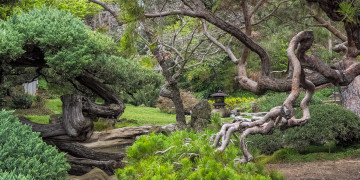 Картинка природа парк природный комплекс