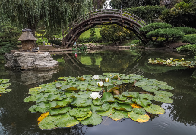 Обои картинки фото природа, парк, комплекс, природный