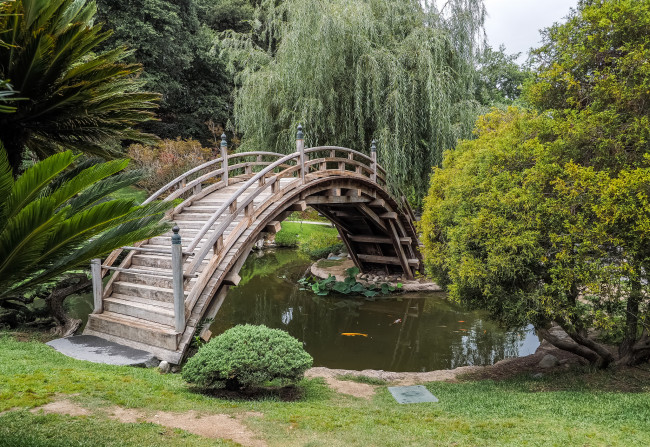 Обои картинки фото природа, парк, комплекс, природный