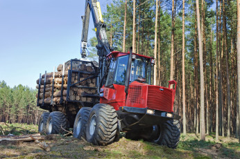 Картинка техника лесоповалочная+техника komatsu