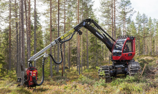 Обои картинки фото техника, лесоповалочная техника, komatsu