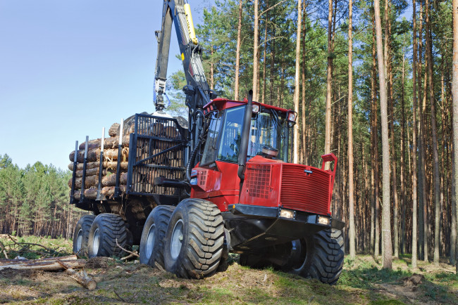 Обои картинки фото техника, лесоповалочная техника, komatsu