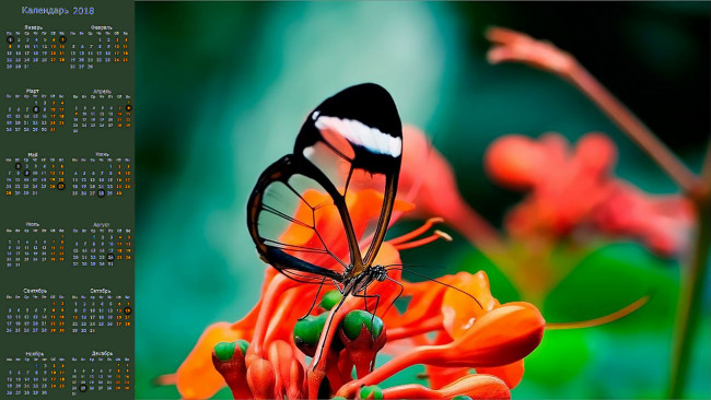 Обои картинки фото календари, животные, бабочка