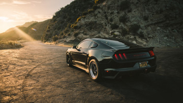 Картинка автомобили mustang ford roush