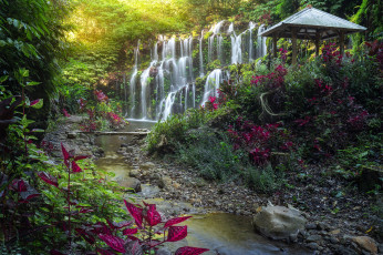 Картинка bali indonesia природа водопады