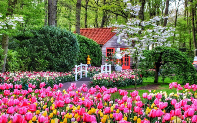 Обои картинки фото keukenhof park, netherlands, города, - здания,  дома, keukenhof, park