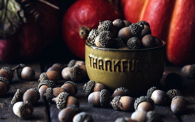 Обои картинки фото природа, шишки,  жёлуди,  каштаны, желуди