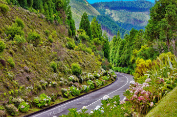 Картинка природа дороги дорога