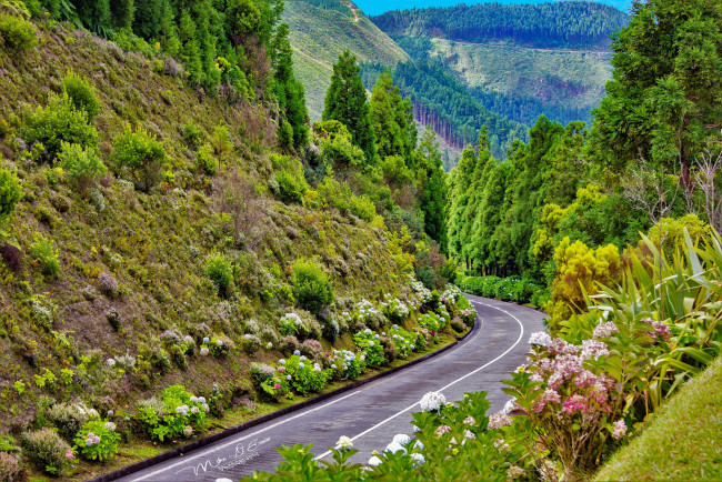 Обои картинки фото природа, дороги, дорога