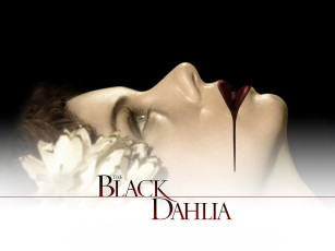 Картинка кино+фильмы the+black+dahlia девушка лицо цветок