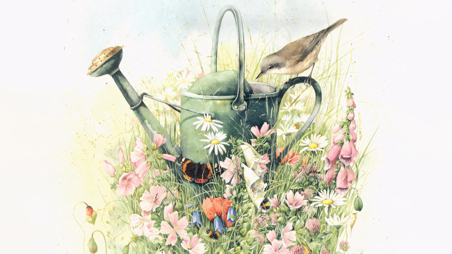 Обои картинки фото 295739, рисованное, животные,  птицы, лейка, птичка