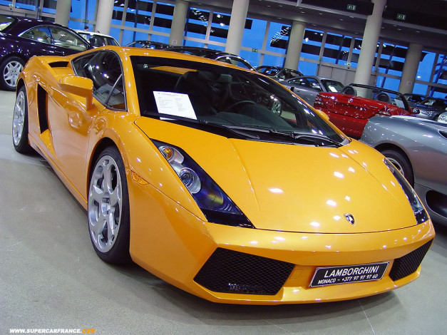 Обои картинки фото lamborghini, автомобили, выставки, уличные, фото