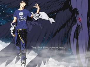 Картинка the sky king аниме air gear